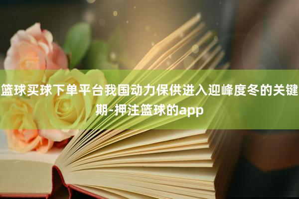 篮球买球下单平台我国动力保供进入迎峰度冬的关键期-押注篮球的app