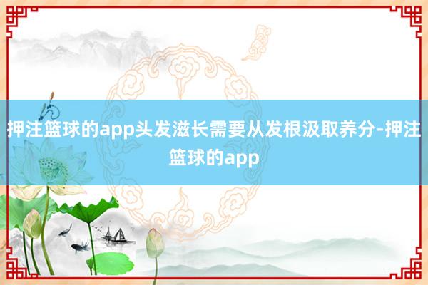押注篮球的app头发滋长需要从发根汲取养分-押注篮球的app