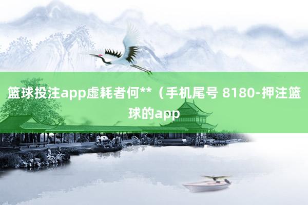 篮球投注app虚耗者何**（手机尾号 8180-押注篮球的app