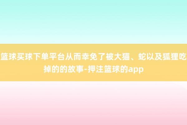 篮球买球下单平台从而幸免了被大猫、蛇以及狐狸吃掉的的故事-押注篮球的app