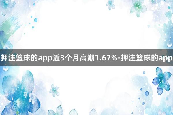 押注篮球的app近3个月高潮1.67%-押注篮球的app