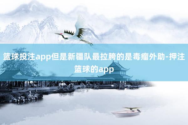 篮球投注app但是新疆队最拉胯的是毒瘤外助-押注篮球的app