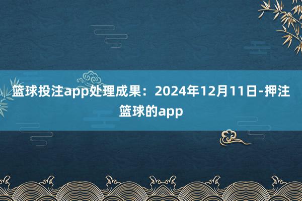 篮球投注app处理成果：2024年12月11日-押注篮球的app