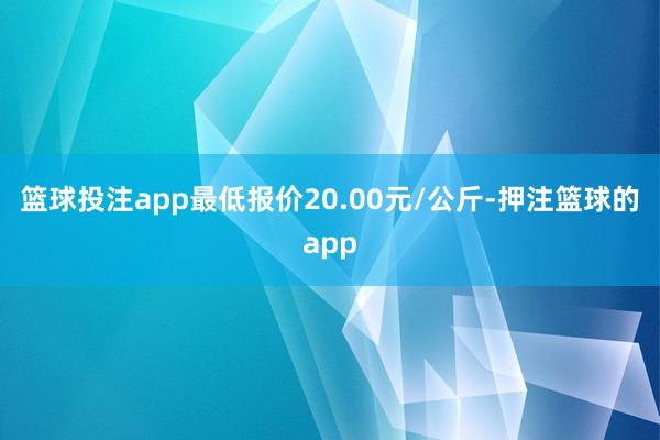 篮球投注app最低报价20.00元/公斤-押注篮球的app