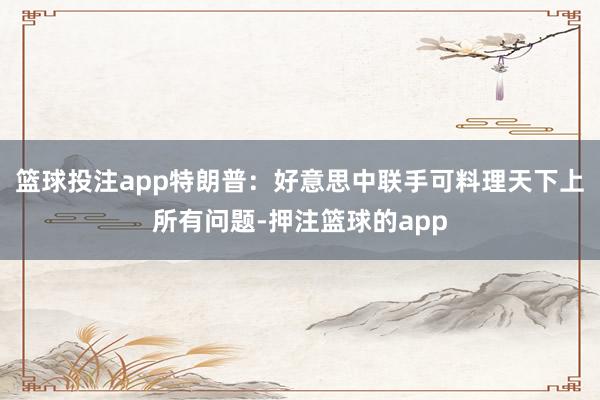 篮球投注app特朗普：好意思中联手可料理天下上所有问题-押注篮球的app