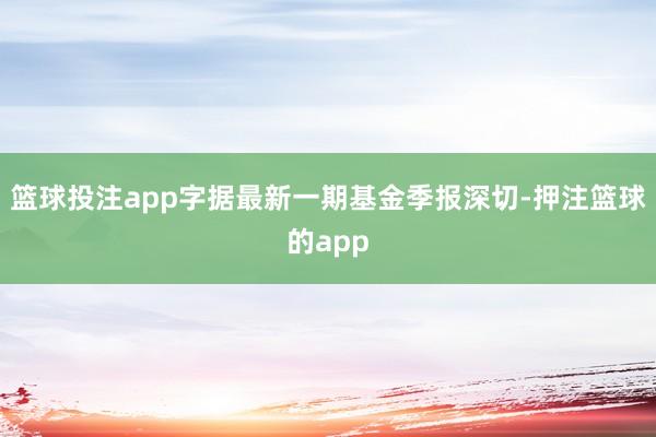 篮球投注app字据最新一期基金季报深切-押注篮球的app