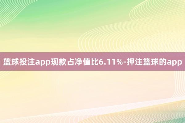 篮球投注app现款占净值比6.11%-押注篮球的app