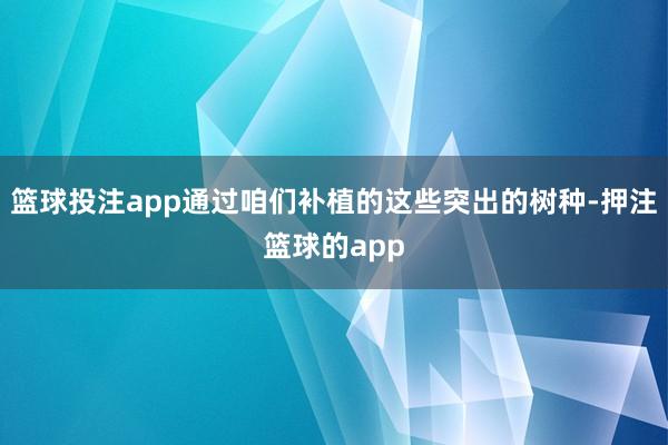 篮球投注app通过咱们补植的这些突出的树种-押注篮球的app