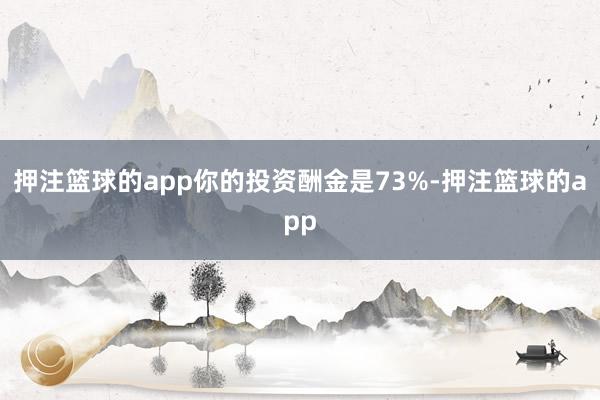 押注篮球的app你的投资酬金是73%-押注篮球的app