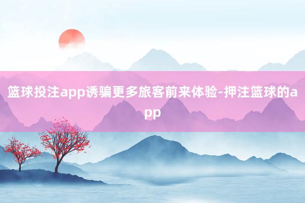 篮球投注app诱骗更多旅客前来体验-押注篮球的app