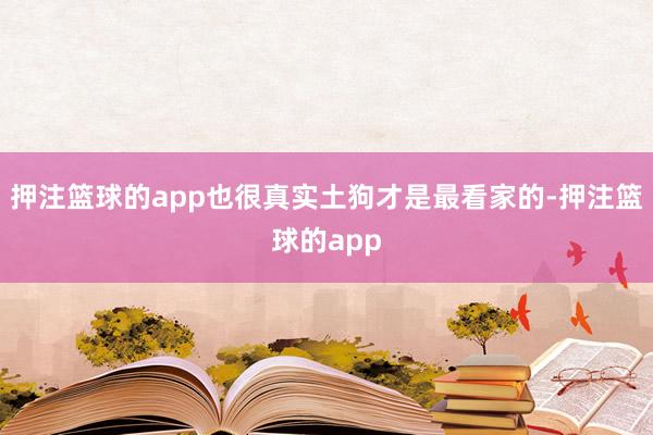 押注篮球的app也很真实土狗才是最看家的-押注篮球的app