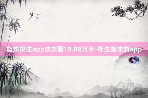 篮球投注app成交量19.88万手-押注篮球的app