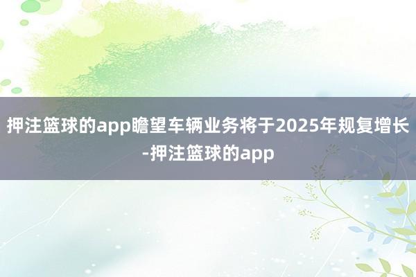 押注篮球的app瞻望车辆业务将于2025年规复增长-押注篮球的app