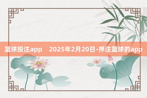 篮球投注app    2025年2月20日-押注篮球的app