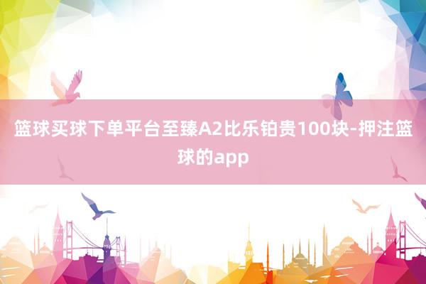 篮球买球下单平台至臻A2比乐铂贵100块-押注篮球的app