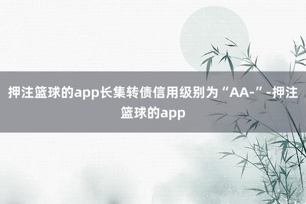 押注篮球的app长集转债信用级别为“AA-”-押注篮球的app
