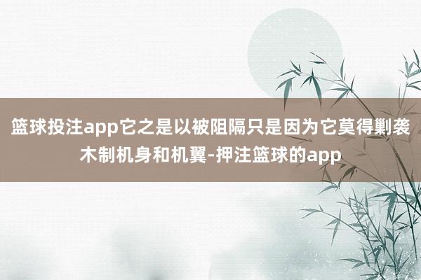 篮球投注app它之是以被阻隔只是因为它莫得剿袭木制机身和机翼-押注篮球的app