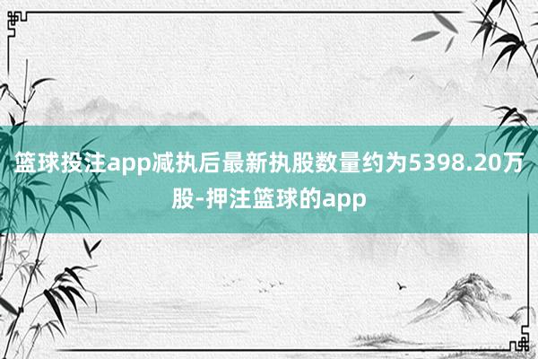 篮球投注app减执后最新执股数量约为5398.20万股-押注篮球的app