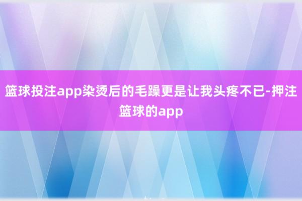 篮球投注app染烫后的毛躁更是让我头疼不已-押注篮球的app
