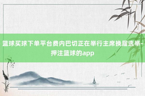 篮球买球下单平台费内巴切正在举行主席换届选举-押注篮球的app
