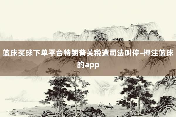篮球买球下单平台特朗普关税遭司法叫停-押注篮球的app