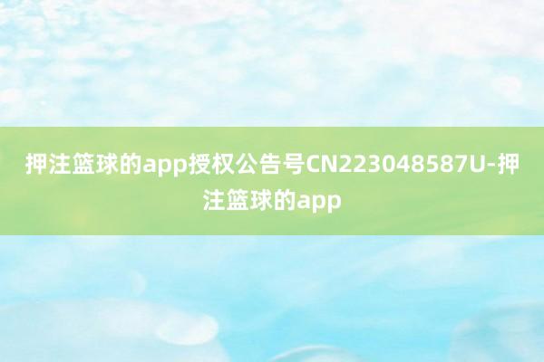 押注篮球的app授权公告号CN223048587U-押注篮球的app