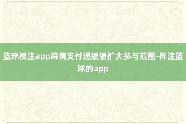 篮球投注app跨境支付通缓缓扩大参与范围-押注篮球的app