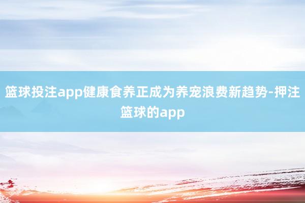 篮球投注app健康食养正成为养宠浪费新趋势-押注篮球的app