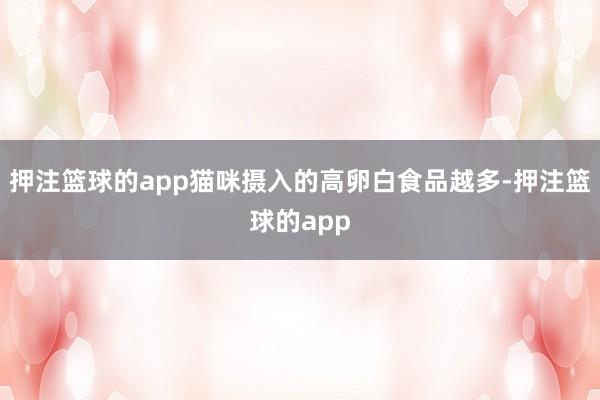 押注篮球的app猫咪摄入的高卵白食品越多-押注篮球的app
