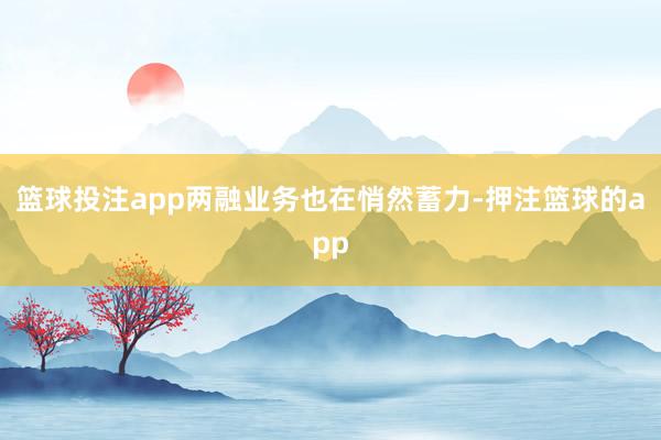篮球投注app两融业务也在悄然蓄力-押注篮球的app