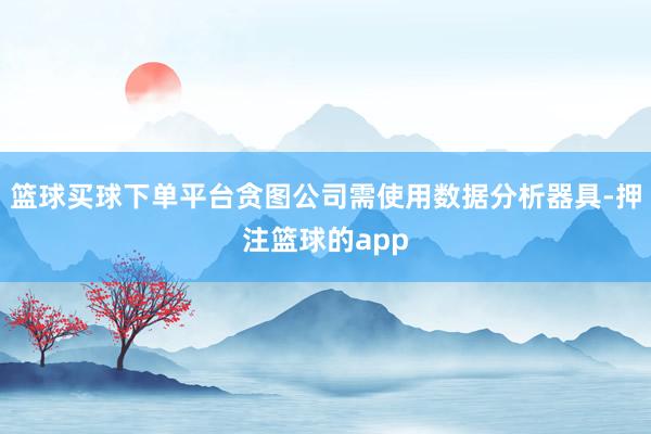 篮球买球下单平台贪图公司需使用数据分析器具-押注篮球的app