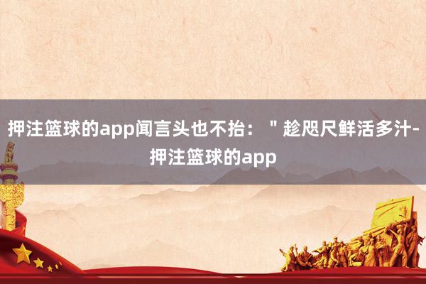押注篮球的app闻言头也不抬：＂趁咫尺鲜活多汁-押注篮球的app