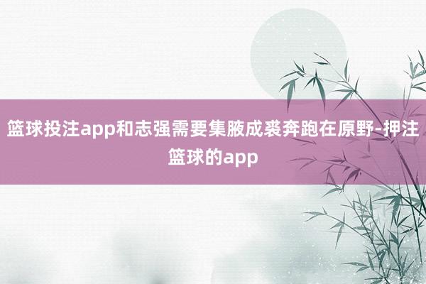 篮球投注app和志强需要集腋成裘奔跑在原野-押注篮球的app