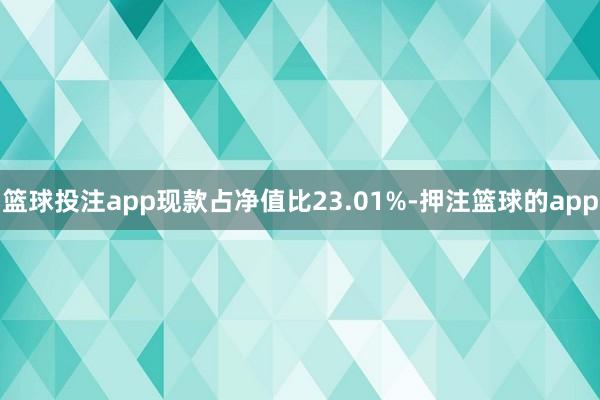 篮球投注app现款占净值比23.01%-押注篮球的app