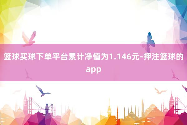 篮球买球下单平台累计净值为1.146元-押注篮球的app
