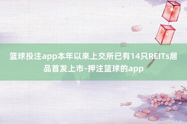 篮球投注app本年以来上交所已有14只REITs居品首发上市-押注篮球的app