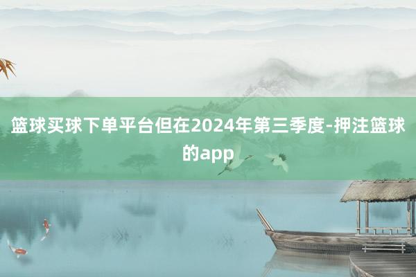 篮球买球下单平台但在2024年第三季度-押注篮球的app