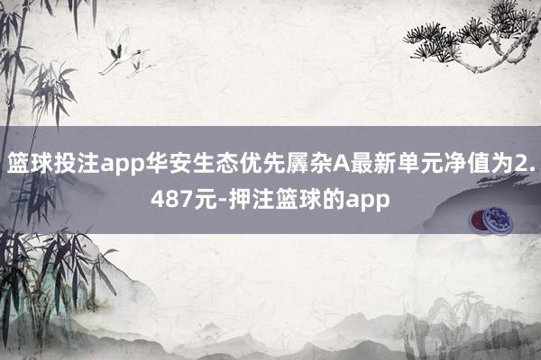 篮球投注app华安生态优先羼杂A最新单元净值为2.487元-押注篮球的app