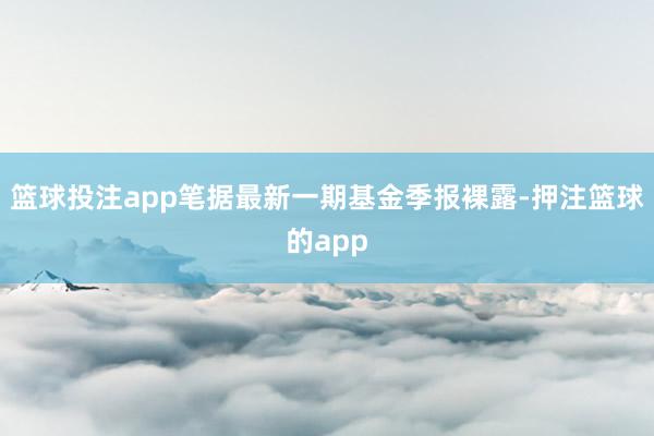 篮球投注app笔据最新一期基金季报裸露-押注篮球的app