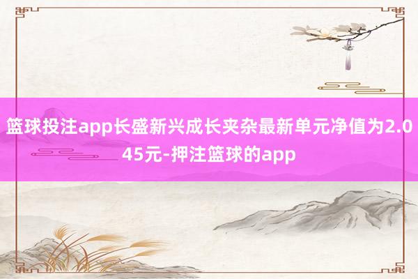 篮球投注app长盛新兴成长夹杂最新单元净值为2.045元-押注篮球的app
