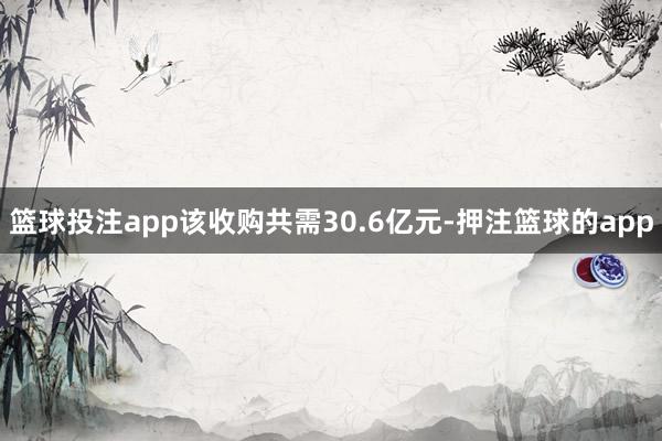 篮球投注app该收购共需30.6亿元-押注篮球的app