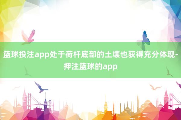 篮球投注app处于荷杆底部的土壤也获得充分体现-押注篮球的app