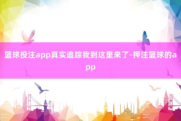 篮球投注app真实追踪我到这里来了-押注篮球的app