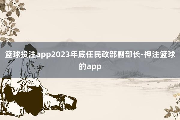 篮球投注app2023年底任民政部副部长-押注篮球的app