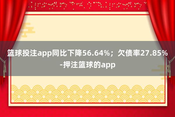 篮球投注app同比下降56.64%；欠债率27.85%-押注篮球的app