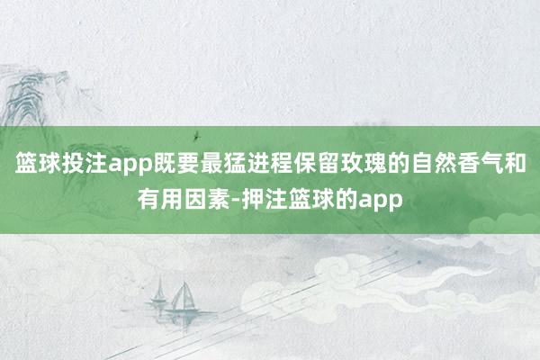 篮球投注app既要最猛进程保留玫瑰的自然香气和有用因素-押注篮球的app
