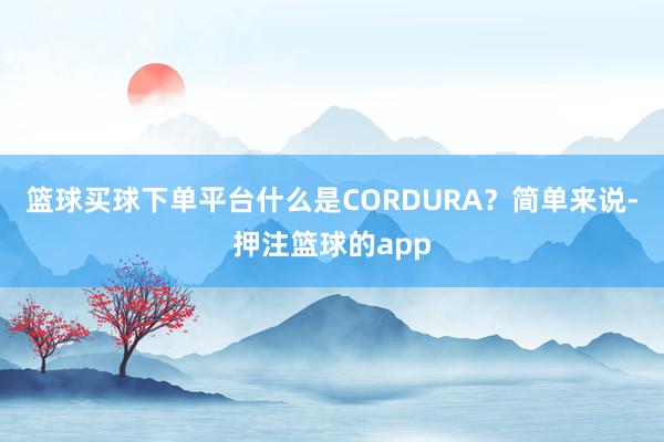 篮球买球下单平台什么是CORDURA?简单来说-押注篮球的app